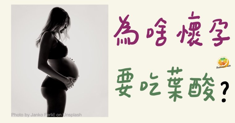 為什麼懷孕要吃葉酸？缺乏葉酸的嚴重後果是…